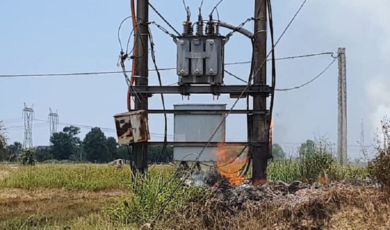 Hệ lụy từ việc đốt rơm rạ